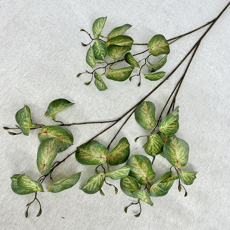 Lyre feuille verte