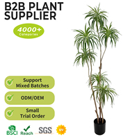 Plante artificielle Dracaena Sanderiana, Bambou porte-bonheur, 170 cm, Écologique, Durable, Dracaena tropicale du Brésil, Arbre artificiel d'intérieur
