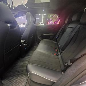 Nuevo Auto Eléctrico de Marca China DOLPHIN EV con Alta Calidad <span class=keywords><strong>y</strong></span> Bajo Precio - Product Image 6