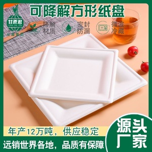 Assiette carrée en pulpe de papier biodégradable 6 8 10 pouces, vaisselle jetable pour pique-nique, artisanat, barbecue - Product Image 5