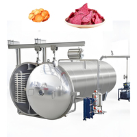 Yoursjoys Industriële Vriesdroogmachine voor Fruit- en Groenteverwerking, Snoep, Voedselveilige RVS SUS304/316 PLC
