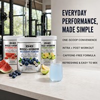 Poudre pré, pendant et post-entraînement |   EAA Créatine Électrolytes |   Performances d'hydratation et récupération |   30 portions de myrtilles
