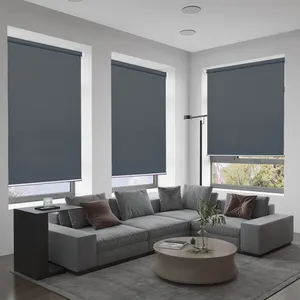 Best Selling Window Blinds Indoor Remote Control roller shades wifi smart roller blinds for window