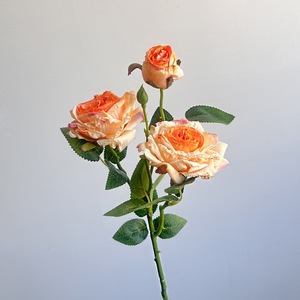 Rosas Artificiales de Seda con Borde Quemado al por Mayor, Rosas Artificiales de Color Polvoriento para Decoración de Bodas y Fiestas en el Hogar - Product Image 4