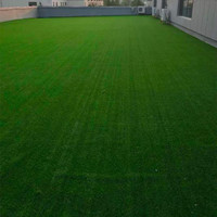 Shandong Factory Price Kunstrasen für Dachgarten Spielplatz Landschaften im Freien Grün Bunte Hunde Haustiere Rasen Gras Teppiche
