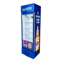 Réfrigérateur-congélateur vitré à double température avec refroidissement par air, sans givre et 2 portes, pour usage domestique ou commercial