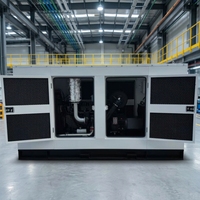 Générateur diesel silencieux 50Hz 200KW/250KVA à démarrage à distance ATS, moteur Weichai, 100% efficacité, prix abordable, livraison rapide