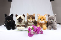 Chat persan personnalisé réaliste poupée en peluche, vente en gros matières premières organiques Animal mignon chat blanc jouet en peluche