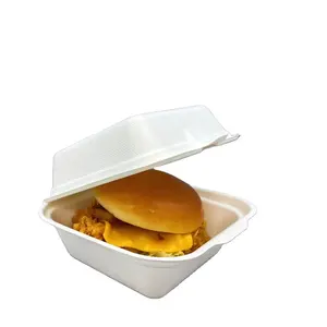 Food Trays Paper Take Away Containers Fast Food Clamshell Sugarcane Bagasse Packaging 700ml Box Disposable Plates and Cups