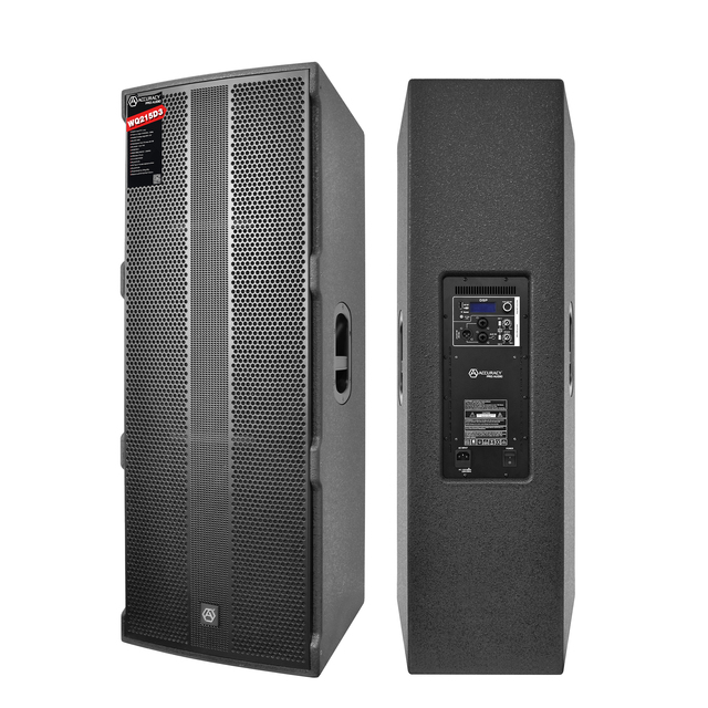 RQSONIC WQ215D3-4.1K 700W Dual 15 Inch Titanium Powered Speaker MDF Professional Active Speaker