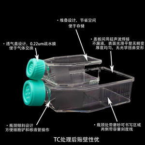 Flacones para Cultivo Celular T25 97.72x49mm, Esterilizados, Tratados con TC, con Tapa Transparente Sellada - Product Image 3