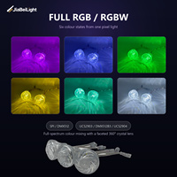 Lumières LED Pixel RGBW en plastique IP65 de 60 mm à 6 LED pour l'éclairage de Noël, des manèges et des carnavals