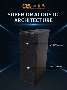 Sistema de Altavoces Profesional de Doble Línea de 6.5 Pulgadas, Alta Potencia 200W, Gabinete de Madera Contrachapada, Audio Profesional para Escenarios y Conciertos DS-CT-206 - Product Image 2