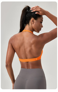 Wholesale Sexy Halter Neck Twist Yoga Bra Women Deep V Neck Padded Low Impact Sports Crop Top Comfort Pilates Gym Athletic Bra - Product Image 2