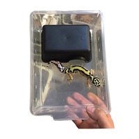 Fournitures pour animaux de compagnie, plateau en plastique standard, cage de levage léopard gecko garder la baignoire du palais