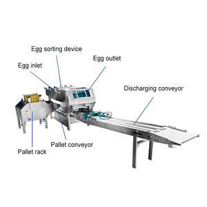Máquina de carga de bandejas de huevos automatizada OCEAN, máquina de paquete de huevos de pollo, máquina de paquete de huevos de pato - Product Image 2