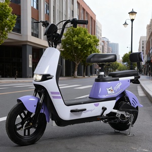 Vente en gros d'usine, vélos électriques <span class=keywords><strong>de</strong></span> ville, scooters <span class=keywords><strong>de</strong></span> loisirs, équipés <span class=keywords><strong>de</strong></span> moteurs sans balais en cuivre pur à grande vitesse et longue portée, pour les jeunes. - Product Image 6