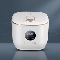 Autocuiseur de riz automatique en acier inoxydable OEM ODM WT-A12-3.0L 500W, 5 modes de cuisson, affichage numérique LED, maintien au chaud 8h, pour bouillie et soupe