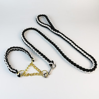 Ensemble collier et laisse pour chien en nylon tressé robuste de couleur personnalisée, ensemble de chaînes durables, laisse et collier pour chien réfléchissants de luxe et résistants
