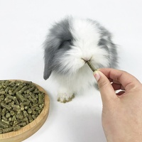 Granulés d'herbe alfa, molaires alimentaires pour lapin, mulaires pour animaux de compagnie, jouet nutritif et parfumé