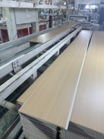Panel de Techo de PVC de Diseño Moderno para Uso Doméstico, Material Impermeable, Función Antihumedad, Venta al por Mayor de Fábrica, Interior