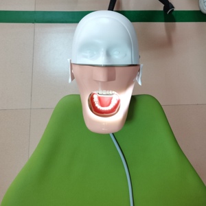<strong>Dental</strong> <strong>Simulator</strong> Manikin Phantom Head <strong>Unit</strong> Student Practice Model with 28Pcs Typodont Teeth Medical Dentist Education Equipment - Product Image 4
