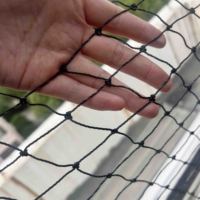 Jaring Kucing Luar Ruangan Anti Lepas yang Diperkuat