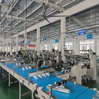 Chaîne de production intelligente personnalisable automatique d'emballage automatisation du processus entier du primaire à l'emballage secondaire