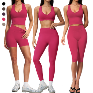 Ensemble de yoga sans couture pour femme : Leggings, shorts sexy, capri, body de fitness, soutien-gorge de sport, débardeur de sport - Product Image 1
