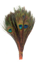 Plumes de paon à œil enfilé naturel à vendre fête carnaval maison mariage pièce maîtresse noël Vase vacances décor bricolage artisanat Floral