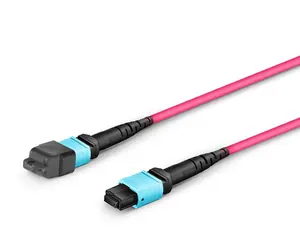 12M MTP-16 Apc (Vrouwelijk) Naar MTP-16 Apc (Vrouwelijk) Om4 Multimode Elite Trunk Kabel, 16 Vezels Voor 400G Magenta, Voor 400G Network Con