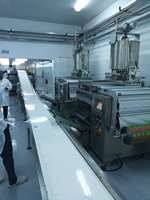 Petite industrie, ligne de production de purée de tomates, usine de traitement des tomates à double concentré