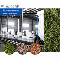 Ligne de production de granulés de coques de riz LANE, machine à granulés de biomasse pour pailles, tiges de coton et copeaux de bois, fournisseur d'usine