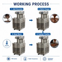 Machine de fusion et de tempérage du chocolat de haute qualité pour le moulage et le revêtement, avec contrôle de température