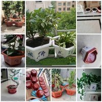 Pot de fleurs hexagonal personnalisé en plastique pour cactus, pot à bonsaï épaissi de grande taille, pots en plastique pour plantes succulentes et grimpantes