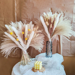 Natural Dried Flower Bouquet with Pampas Grass Bunny Tails Eucalyptus and Craspedia <strong>Billy</strong> Balls for Boho Home Wedding Decoration - Product Image 3