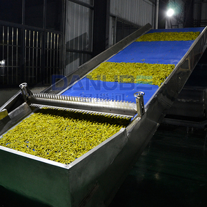 High Productivity Vegetable Mesh Belt Dryer Daylily Drying Machine Daylily Cleaning and Drying Processing Line Daylily Dryer - Product Image 2