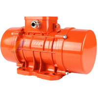 Vibrator Motor for Vibrating Feeder Machine