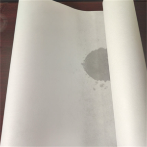 Film filtrant en nylon de conception personnalisée 0,22Um filtre à membrane de liaison aux protéines 20 μm pour solutions - Product Image 3