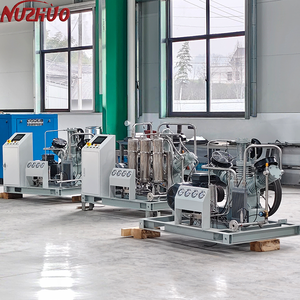 Compresseur d'argon haute pression sans huile Nuzhuo certifié CE ISO TUV, machine de remplissage d'argon avec <span class=keywords><strong>prix</strong></span> d'usine - Product Image 5