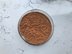 La fábrica china proporciona polvo de polifenoles de té a precio competitivo - Product Image 4