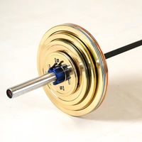 THYFIT ZZY-020 Disque de musculation en fer pour salle de sport avec insert en acier de 2 pouces, électroplaqué et calibré pour haltères de musculation
