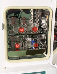 ตู้อบห้องปฏิบัติการที่ขายดีที่สุดสำหรับการ<span class=keywords><strong>ฟัก</strong></span>ไข่และศูนย์บ่มเพาะวัฒนธรรมจุลชีววิทยา - Product Image 3