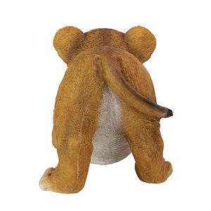 Statuetta Tibesti in resina Lion Cub of The Sahara Animal Statue - Product Image 5