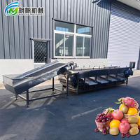 High-Speed Automatische Formaatmachine Voor Fruitgroenten Verbeterde Efficiëntie Sorteerapparatuur Voor Mango Appel Andere