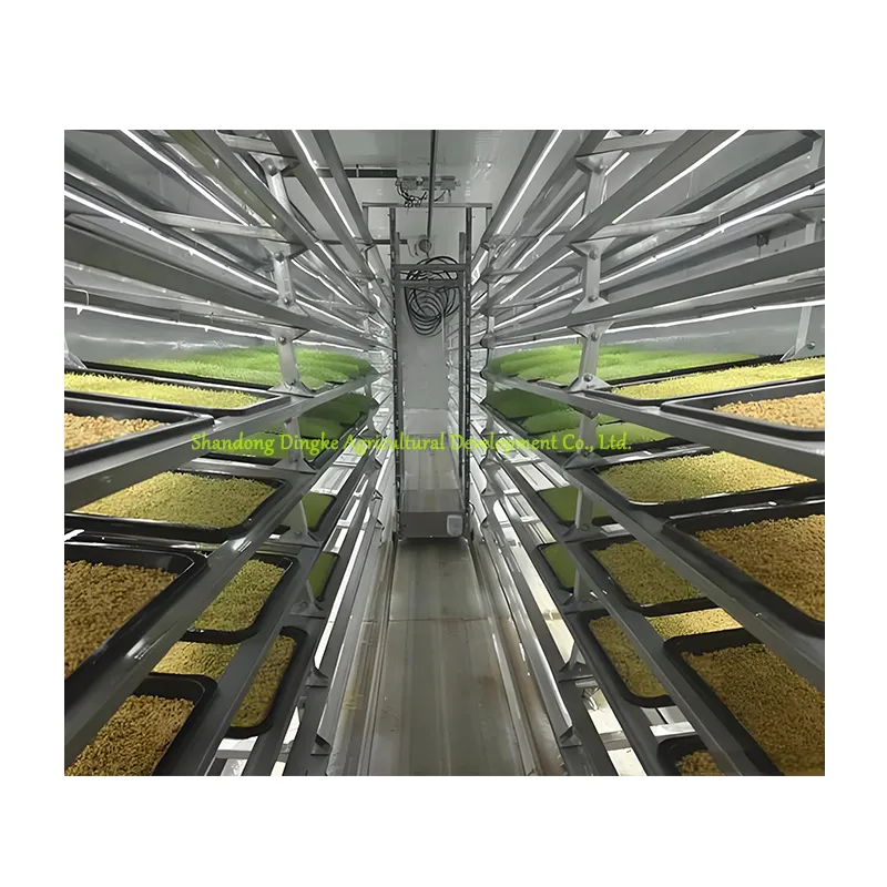 Contenitore di funghi serra Smart Farm idroponico contenitore azienda agricola dotata di attrezzature per la coltivazione di funghi