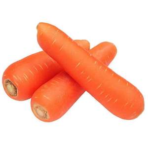 Carote Fresche Biologiche all'Ingrosso (Varietà 316 Rossa 20cm) da Fornitore Cinese, Prezzo Competitivo per Uso Alimentare - Product Image 1