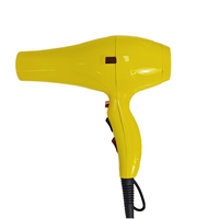 Sèche-cheveux professionnel haute vitesse et haute puissance 2000-2600W, 5 réglages de vitesse, fabriqué en Chine, moteur AC, matériau plastique, buse concentrateur pour
