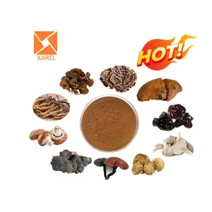 Oem 10 In 1 Biologisch Gemengd Poeder Leeuwenmanen, Reishi,Cordyceps, Chaga,Shiitake,Maitake, Coriolus, Schimmel, Oester, Phellinus Igniarius