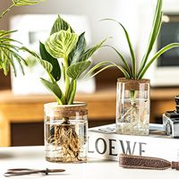 Ensemble de vases en verre pour la propagation des plantes - Vases de bureau/chevet pour boutures de plantes, 2 grands et 2 petits, décoration de maison neuve
